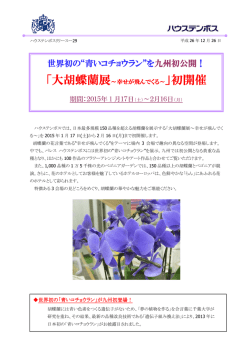 世界初の“青いコチョウラン”を九州初公開！