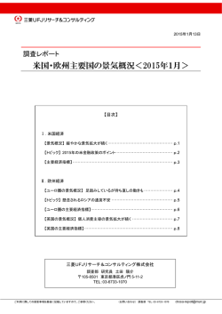 米国・欧州主要国の景気概況＜2015年1月＞