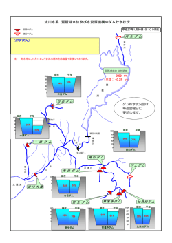 ダムの貯水状況グラフ