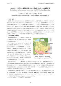 GeoWEPP を利用した福島県飯舘村における放射性セシウム