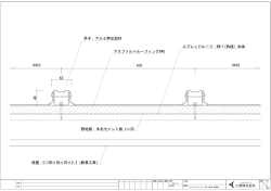 スプレッドルーフ：KW-1(角桟）本体 吊子：アルミ 4