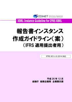 報告書インスタンス 作成ガイドライン（案）