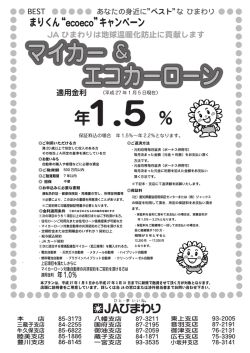 マイカーローンチラシ