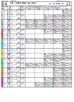 競馬新聞形式・出馬表 [500万下]