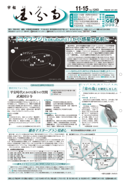 一括ダウンロード （PDF 7.9MB）