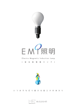 Electro Magnetic Induction Lamp い つ ま で も 灯 り 続 け る 省 エ ネ