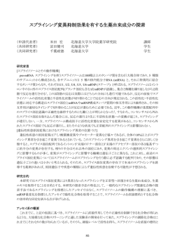 報告書ダウンロード