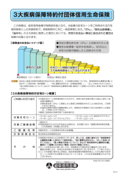 保険概要（チラシ）