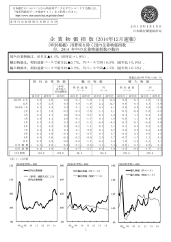 企業物価指数（12月） [PDF 236KB]