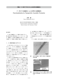 ナノ粒子の組織化による材料の高機能化