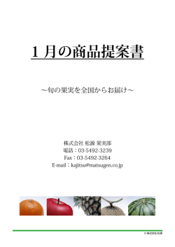 1 月の商品提案書