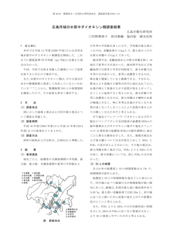 講演要旨(272KB)(PDF文書)