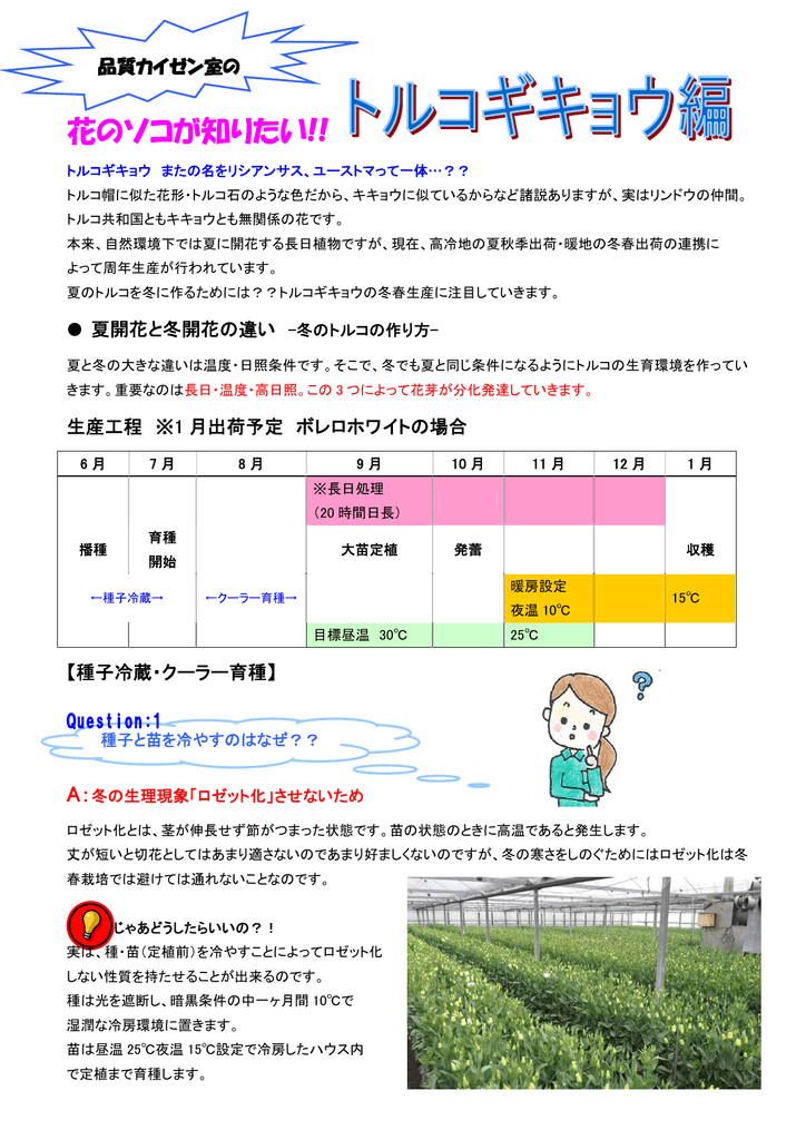 花のソコが知りたい トルコギキョウ編