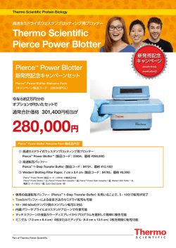 Pierce Power Blotter 新発売記念キャンペーンセット