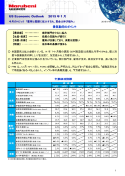 US Economic Outlook 2015 年 1 月 景気動向のポイント 主要