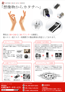 Sapporo Solid Data Service 札幌立体データサービス