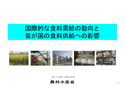 【全体版】（PDF：4838KB）