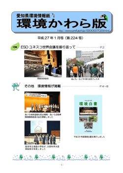 第 224 号