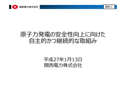 原子力発電の安全性向上に向けた 自主的かつ継続