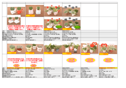 ※通常の観葉植物を植え 込むｱｿｰﾄ可能です！そ の際はご連絡下さい