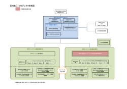 【別紙3】 プロジェクト体制図