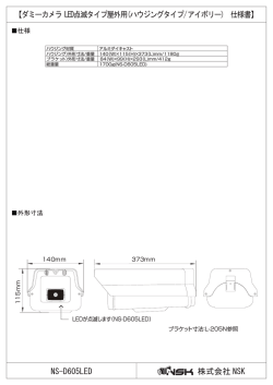 NS-D605LED 【ダミーカメラ LED点滅タイプ屋外用(ハウジング