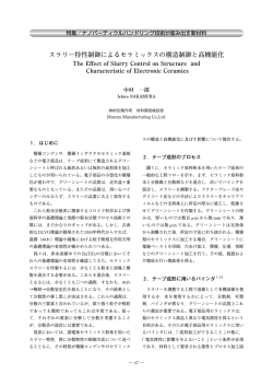 スラリー特性制御によるセラミックスの構造制御と高機能化