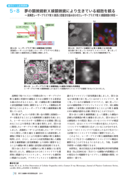 5-8 夢の顕微鏡軟X線顕微鏡により生きている細胞を観る