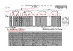 2014年 東葛地区少年サッカー連盟 5年生以下の部・決勝トーナメント大会