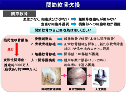 記者会見時配付資料（PDF：744KB）