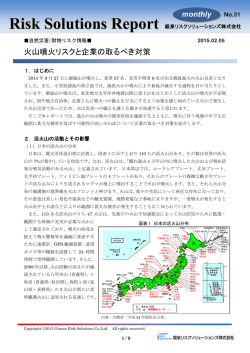 Risk Solutions Report