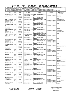 技術・専門求人情報（PDF:181KB）
