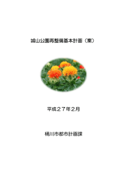 城山公園再整備基本計画（案） 平成27年2月 桶川市都市計画課
