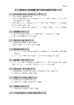 具体的な内容（PDF形式：199KB）