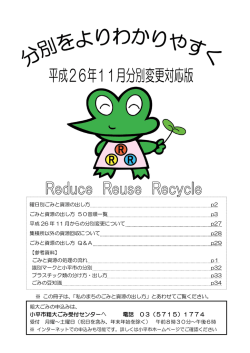 「分別をよりわかりやすく」（PDFファイル 1757KB）