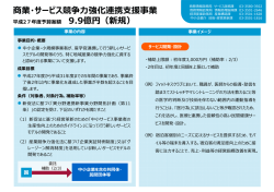 「商業・サービス競争力強化連携支援事業」（PDF