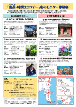 冬のモニター体験会ちらし(PDF文書)