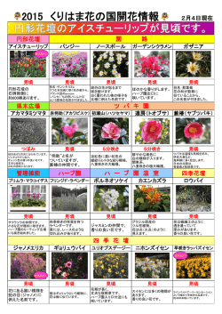2015 くりはま花の国開花情報