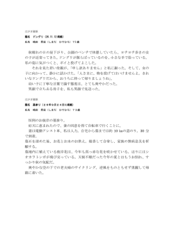 秋晴れの日の昼下がり、公園のベンチで休憩していたら、ヨチヨチ歩きの