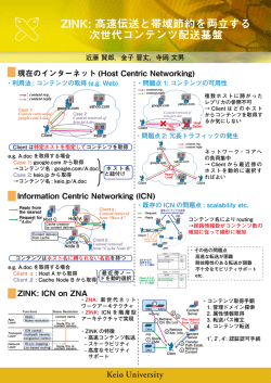 ZINK: ICN on ZNA