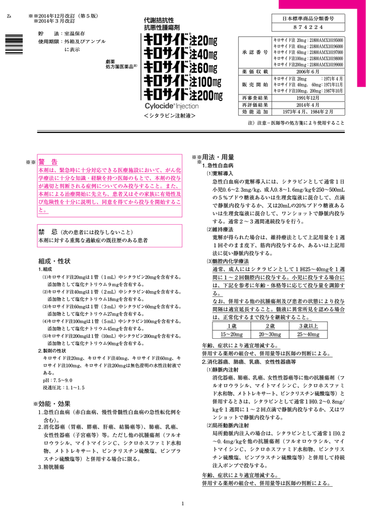 Pdfファイル