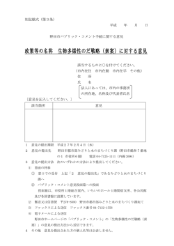 意見提出用紙 （PDF 75.3KB）