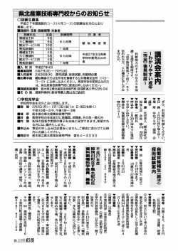 19ページ：タウンinformation（わかりやすい成年（市民）後見制度