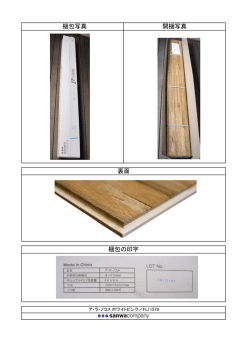 梱包写真 （PDF）