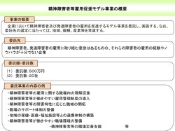 精神障害者等雇用促進モデル事業の概要