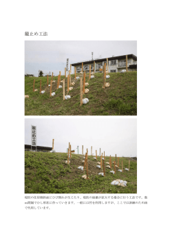 籠止め工法 （PDF：138.58 KB ）