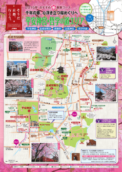 2015年おすすめ桜散策コース 平安神宮・哲学の道エリア