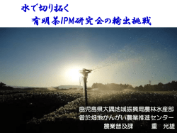 水で切り拓く 有明茶IPM研究会の輸出挑戦