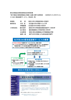 厚生労働省成育疾患等総合研究事業 「母子感染の実態把握及び検査