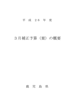 平成26年度3月補正予算（案）の概要（PDF：213KB）